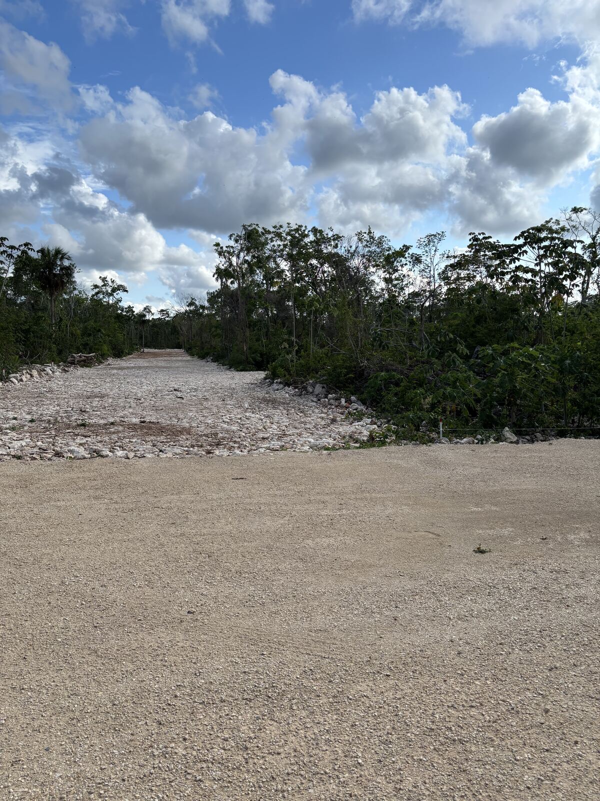 Camino de acceso a Campestre Maya